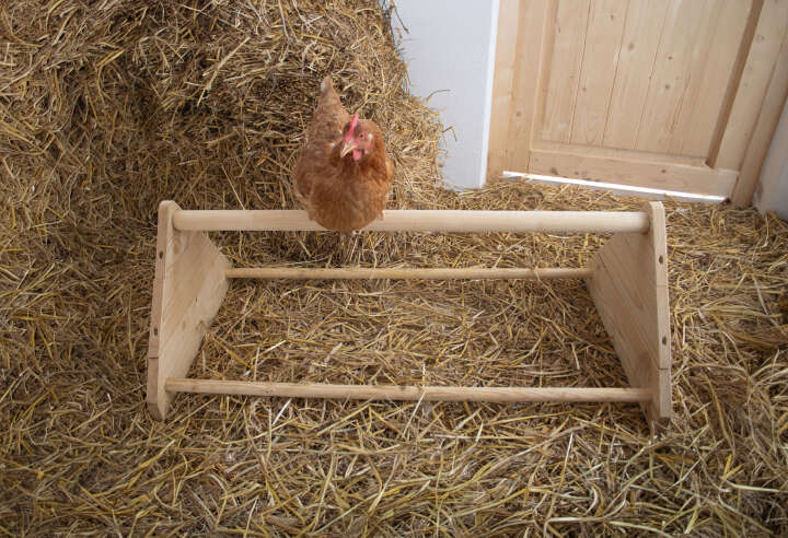 KERBL Sitzstange für Hühner